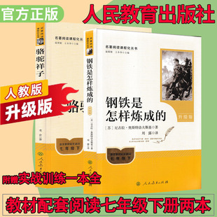 升级版钢铁是怎样炼成的骆驼祥子七年级下人民教育出版社初中名著阅读语文教材配套阅读考试手册名著阅读导练赠送