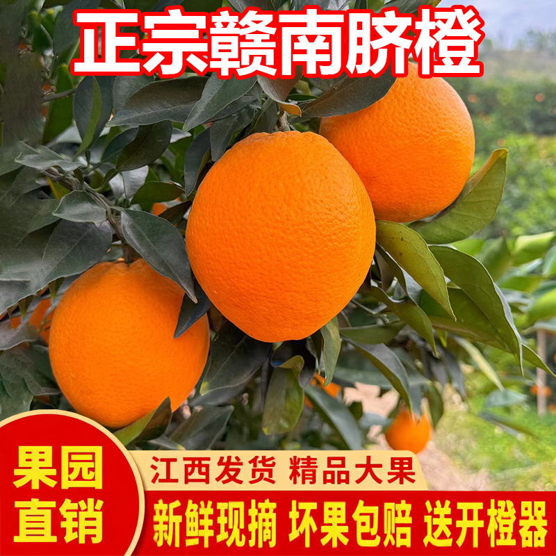 正宗赣南脐橙10斤新鲜大孕妇水果当季整箱江西赣州橙子产地直现发