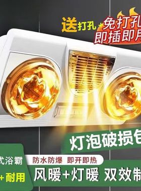 3040新款免打孔防水防爆暖风浴霸挂壁式浴室取暖神器挂墙设计两用