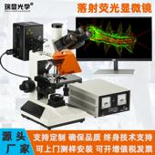 落射正置荧光显微镜 2001四色激发透射视场观察荧光显微术