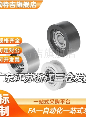 双轴承EVF11/31-W9W11W15W22W27W32-D15-D20-D25-D35-D60-D45-D65