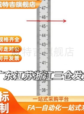 标尺 刻度尺 铝合金定制BLR51 52 55 56 61