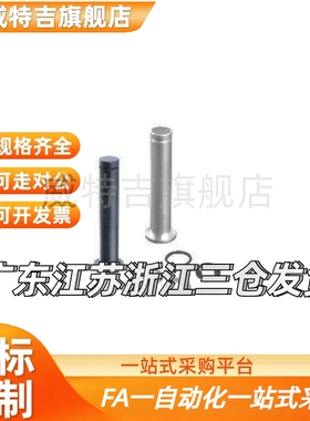 铰链销C-HCDG30 HCCG12/PHCCG10 SHCDG25/SHCCG3 4 5 6 8/HCCGH20