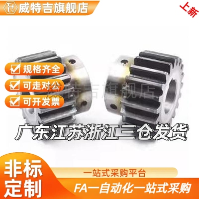 替代VNL02/21/31/GEAHB/GEAB/GEAKB2.0直齿轮2模21齿怡和达