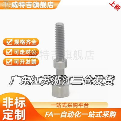 AJSTM3/4/5/6-15/20/25/30/35/40/45/50粗牙镀镍调整螺栓 六角型