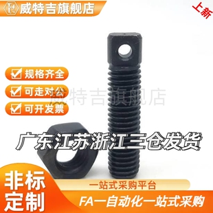 同FFE01-D3/D4/D5/D6-L10/L15/L20/L25/L30/L35/L45 拉伸弹簧