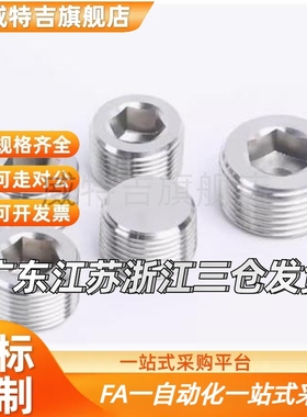 替MSWTS 1 2 3 4 6 8不锈钢堵头 锥形沉头螺塞 内六角 喉塞