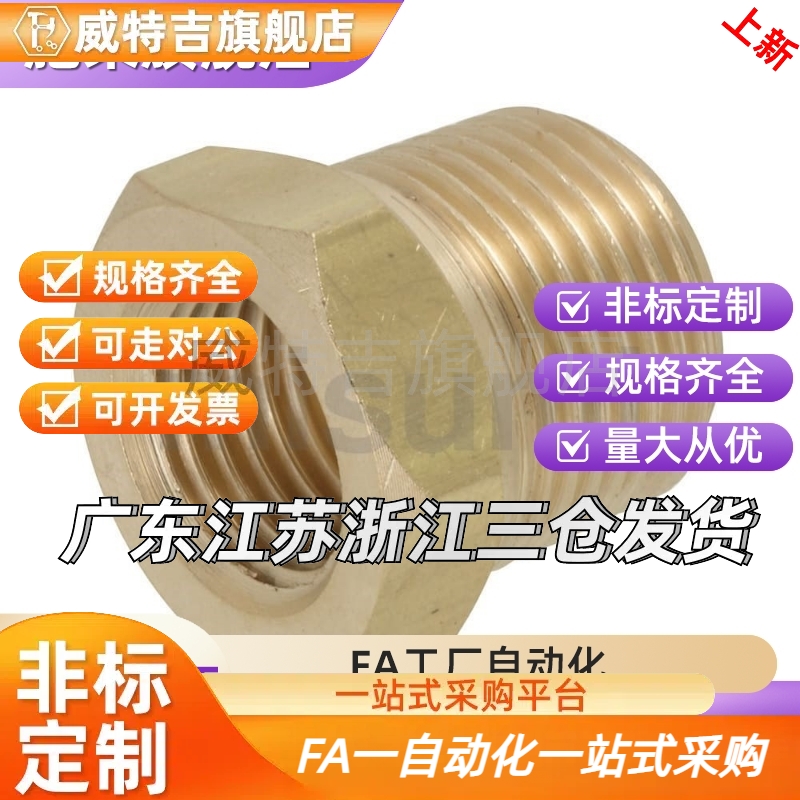 替代SJSPB12/13/23/24/34/36/46黄铜 异径 异径接头SJSPB13