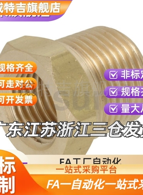 替代SJSPB12/13/23/24/34/36/46黄铜 异径 异径接头SJSPB13