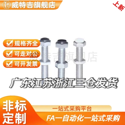 TDB71-M10/M12-L20/L25/ L30/L35/L35/L40/L45/L50/L55/L60螺栓