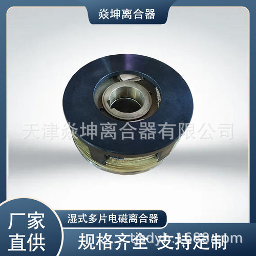 湿式多片电磁离合器（EKE系列）--DLM10-160A--天津厂家直销
