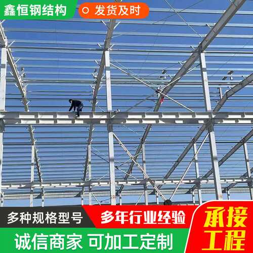 轻钢房屋建造设计户外场地建筑钢构工程焊接钢结构厂房车间库房