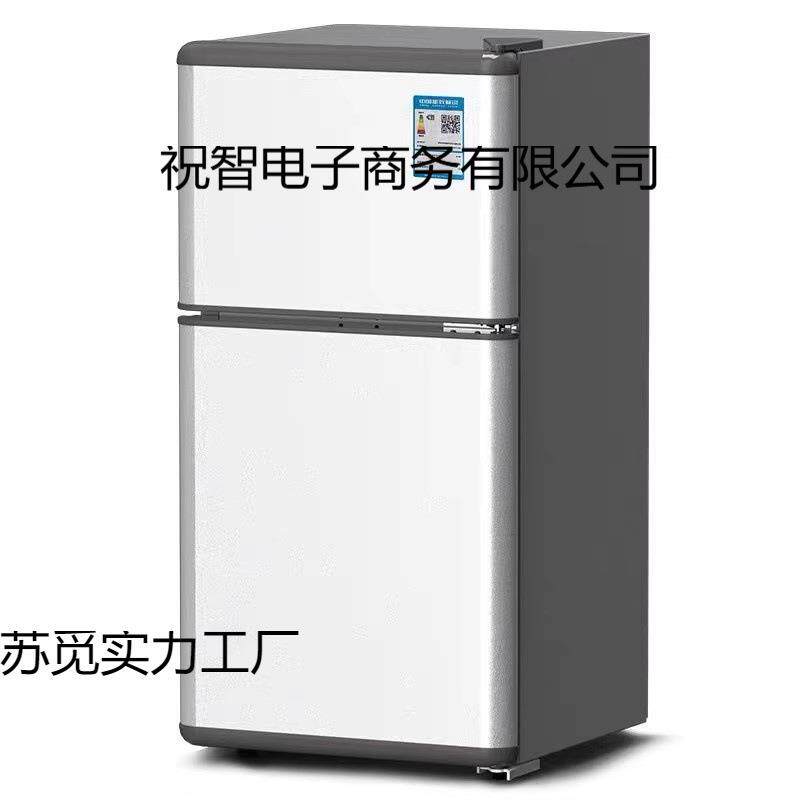 小冰箱家用旅行便捷小型一级能效出租房二人用迷你双开门复古冰箱
