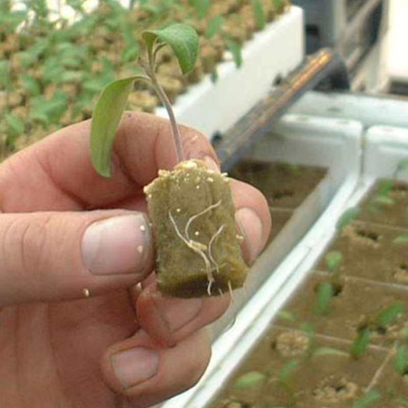 温室种植岩棉基质育苗岩棉块农业水培岩棉基质