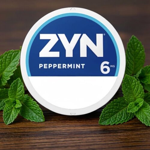 新款美版ZYN多种口味丰富含袋高端飞机高铁便携口含袋提神风味袋