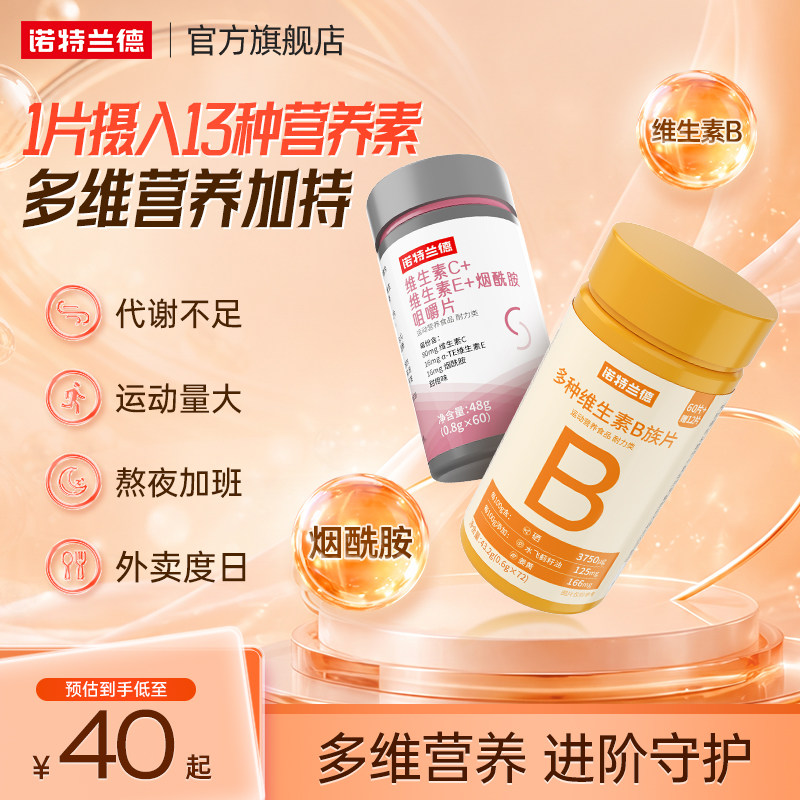 诺特兰德维生素b族多种复合维生素片vb叶酸b2b6b12烟酰胺维c旗舰
