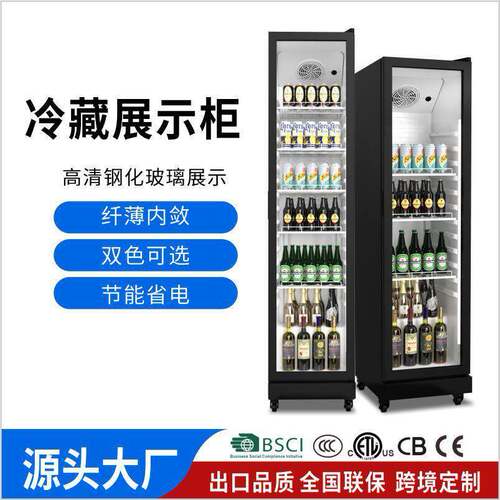 奥达信冷藏柜酒水饮料柜冷饮柜110V/220V冰柜保鲜柜冷柜商用