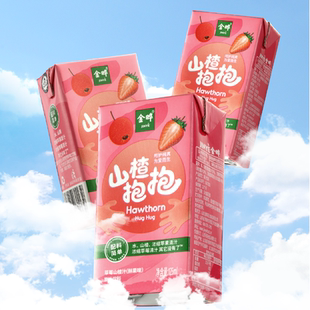 金晔山楂抱抱山楂汁无添加满满鲜果味果汁儿童饮料125ml 36盒