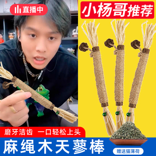 木天蓼磨牙棒猫玩具自嗨解闷耐咬猫薄荷球逗猫棒幼猫磨牙猫咪用品