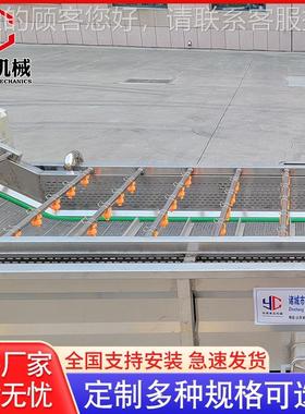 应清全自动枸供杞果洗机 喷淋式气果蔬清DOS洗机 不锈钢瓜清洗机