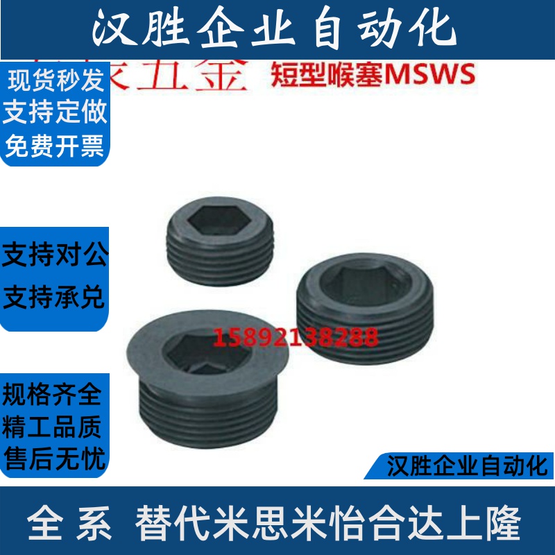 短型螺塞/内六角螺塞MSWS8/ M10/M12/M14/M16/M18/M20