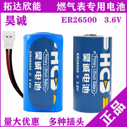 流量计ER26500H燃气蒸汽表电池