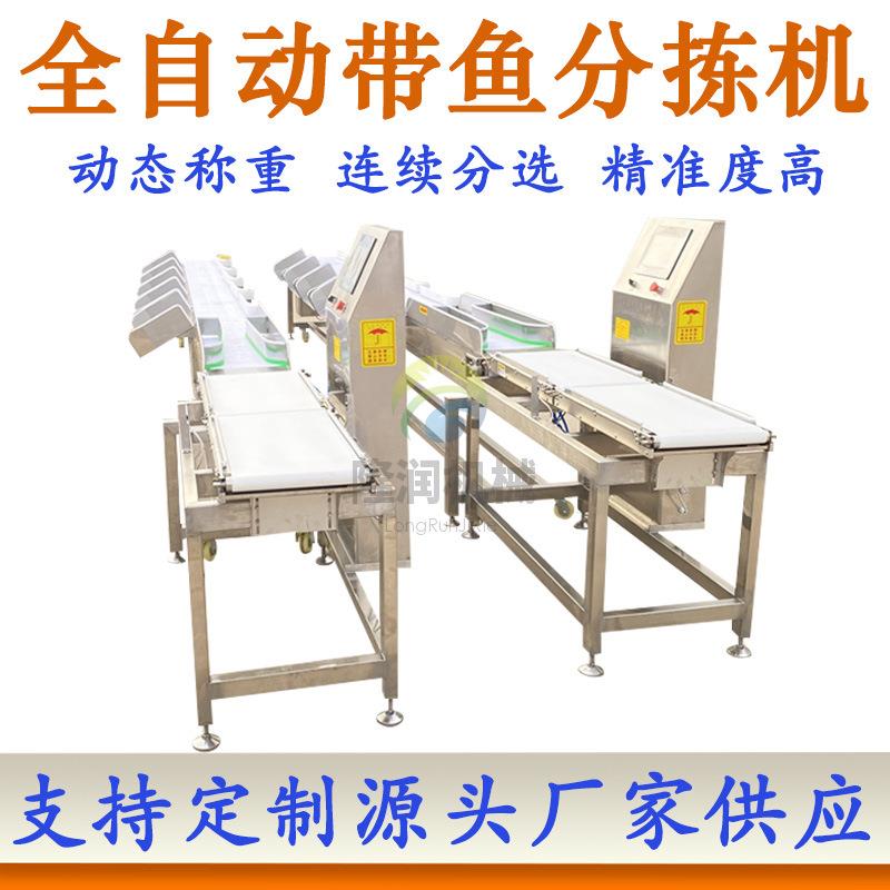 全自动皮带式重量分选机活鱼分拣机罗非鱼巴沙鱼牛蛙称重分拣机