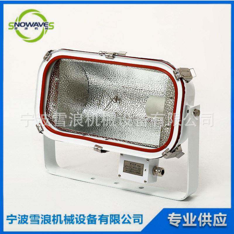 TG5船用投光灯 不锈钢压钠灯250/400W 甲板照明灯具工厂直销