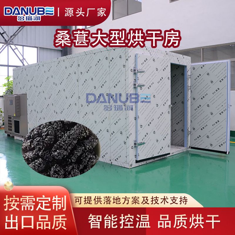 桑葚烘干机大型 桑果黑椹风干箱设备 桑椹子桑粒除湿烘干房商用