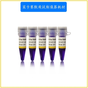 Mix PCR Taq DNA聚合酶 PAGE 聚丙烯酰胺凝胶基础型Taq For 2×GS