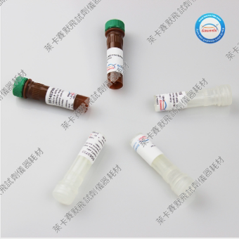 Bioworld BCA蛋白测定试剂盒，Bicinchoninic Acid蛋白定量检测