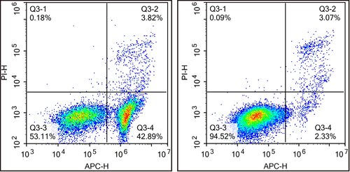 Annexin细胞功能检测,Annexin V-FineTest®647/PI凋亡检测试剂盒