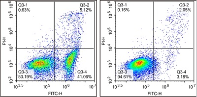 细胞功能检测/凋亡，Annexin V-FineTest®488/PI凋亡检测试剂盒