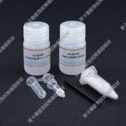 Minute血管总蛋白提取试剂盒适用SDS-PAGE/WB/IP/ELISA/酶活/组学