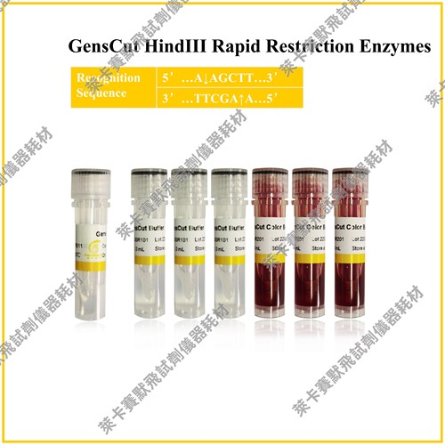 GensCut HindIII，GensCut HinfI，GensCut HpaI快速限制性内切酶