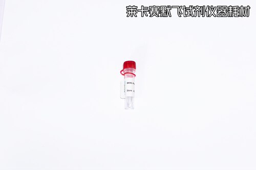 BIOG专利活素 Patent RT Enhancer 提升一步法荧光qPCR检测灵敏度