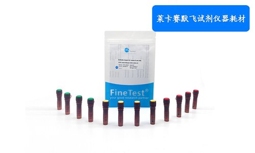 PI Reagent (50μg/mL)碘化丙啶(PI)染色液,可检测细胞凋亡或坏死