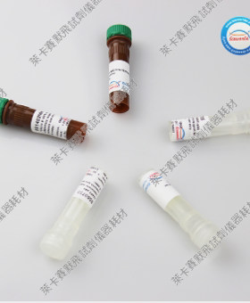 Bioworld Biodlight ECL化学发光HRP底物(标准),ECL液,适用IF/IHC