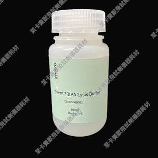 Invent®RIPA裂解液RIPA Lysis Buffer用于WB/ELISA/免疫沉淀应用