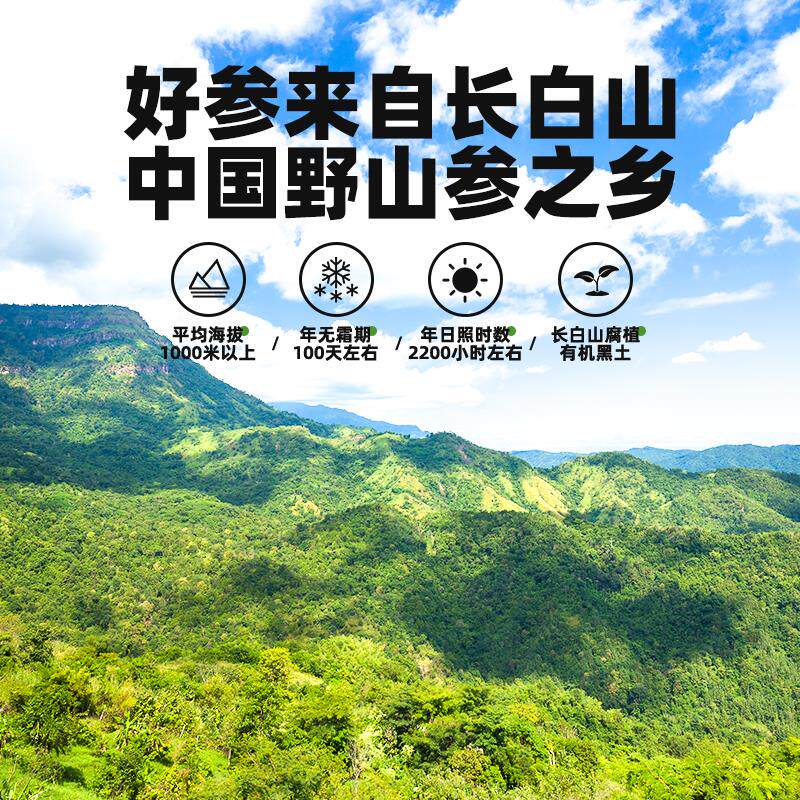 宜生送晒野山参粉干人参长DUV白山野山参东北人参母殷宜样父长辈