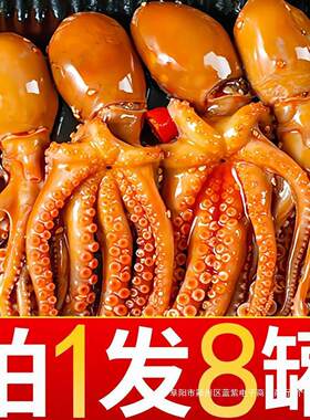 新尾货扇贝鱿海味虾小生蚝麻鱼辣小海鲜熟食爆头零DNA食吃礼包八