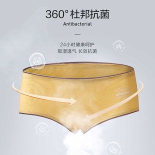 隐形盾抗菌内裤 三角 女士精梳棉裆无痕中腰透气简约女生夏季 薄款