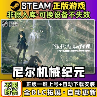 尼尔机械纪元 中文版全dlc云存档电脑pc单机游戏离线正版steam