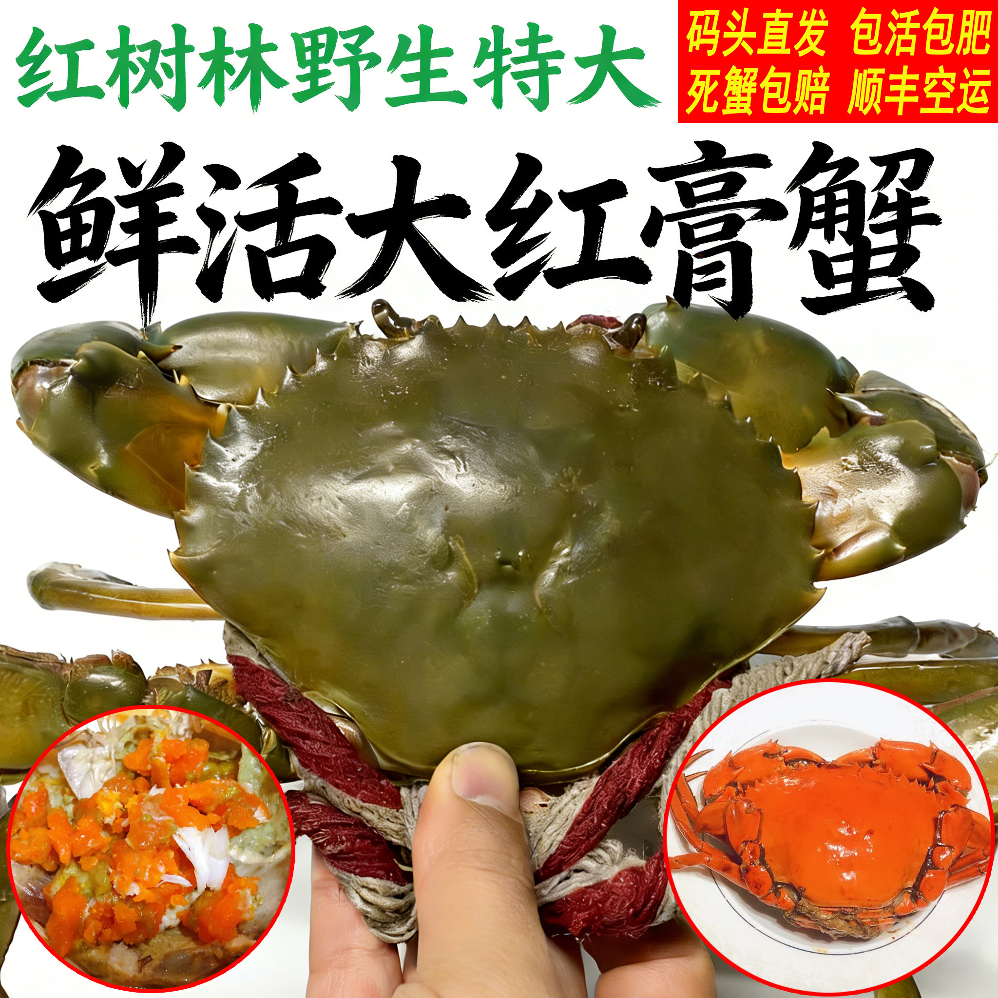 红树林特大青蟹鲜活大膏蟹