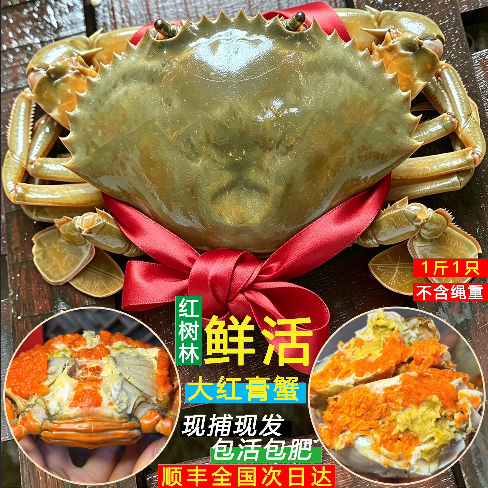 三门特大青蟹膏蟹爆膏顺丰包活