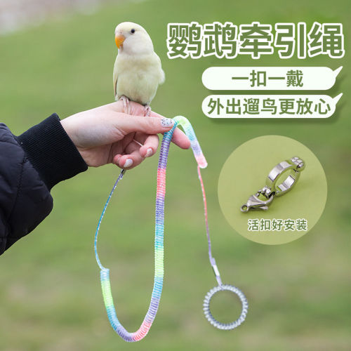 鸟用鹦鹉脚链不伤脚放飞绳牵引绳外出遛鸟脚链牵引绳玄凤虎皮牡丹