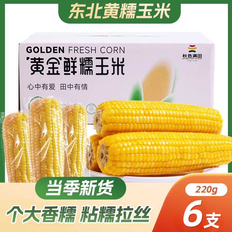 2025新鲜东北黄糯玉米