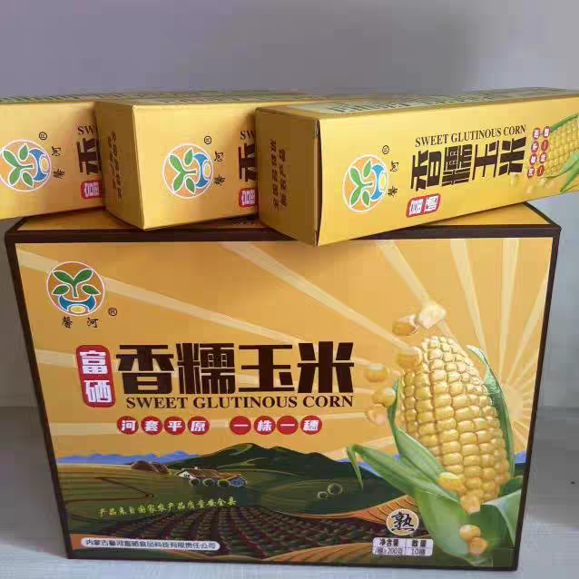 【新货】内蒙古馨河富硒糯玉米真空包装10根黄糯玉米即食粗粮代餐