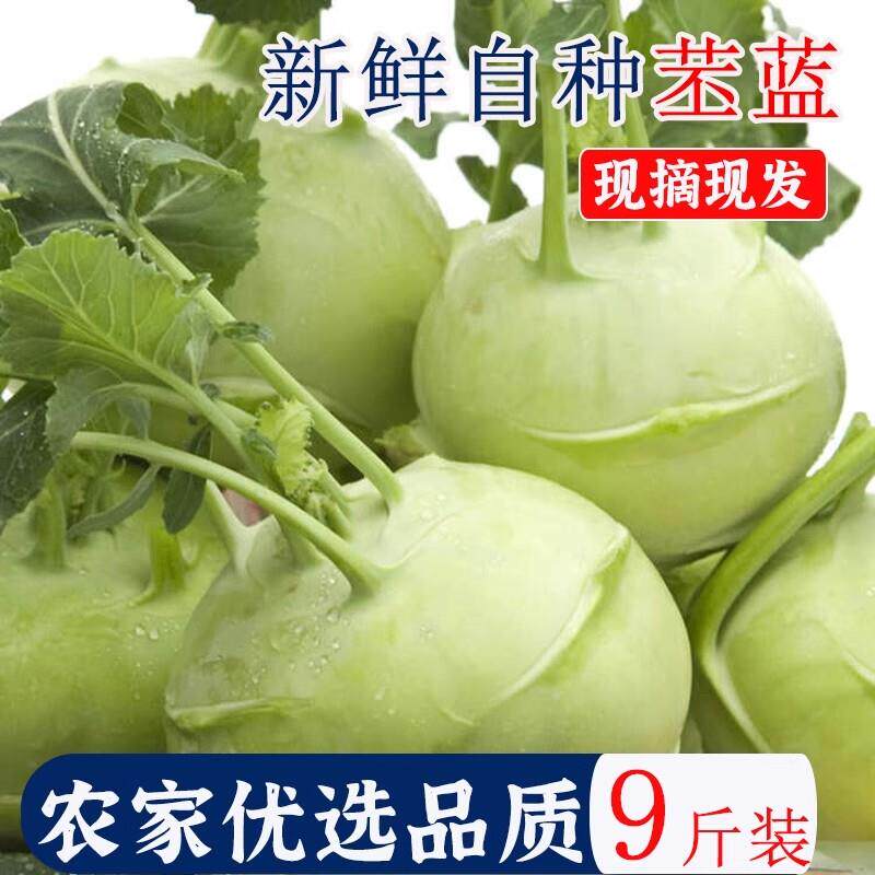 现货蜜桃乌龙茶白桃乌龙花茶水果茶三角茶包泡茶养生冷泡果茶泡水