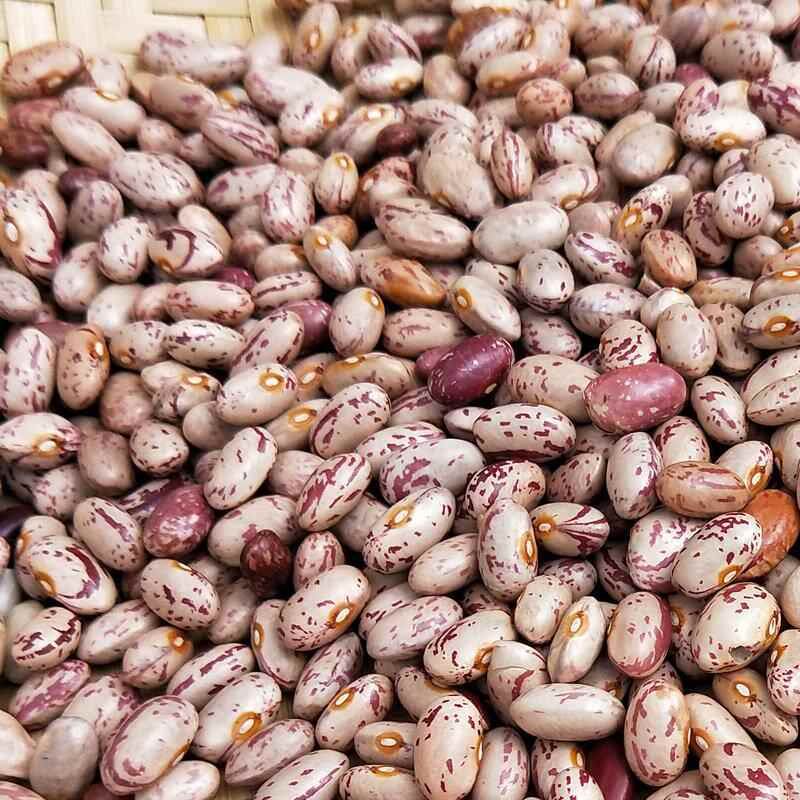 现货花豆贵州新农家自种特产花生豆米酸菜豆米四季豆干豆500g新豆
